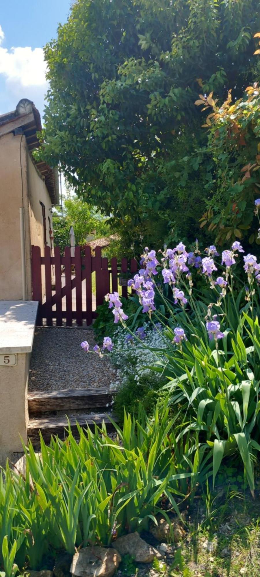 La Maison Du Tourniquet Aubeterre-sur-Dronne Luaran gambar